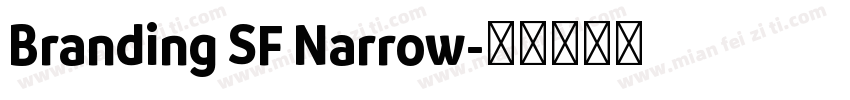Branding SF Narrow字体转换